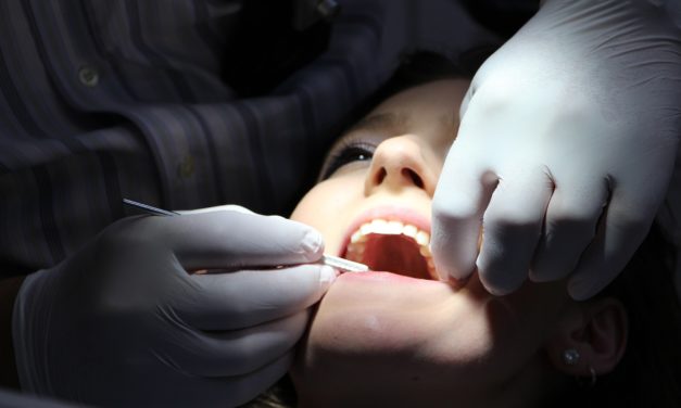 Panel debates need for dental therapists