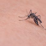 DHS warns mosquitoes are spreading rare, serious illness 