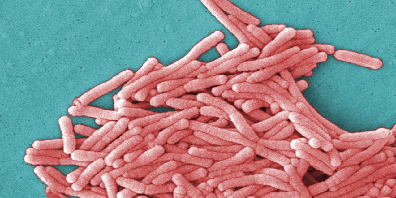 UW Health reports more Legionnaires’ disease cases