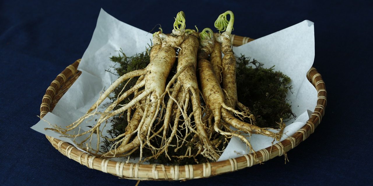 Foxconn wants to study health benefits of Ginseng