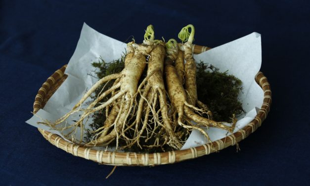 Foxconn wants to study health benefits of Ginseng