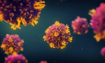 DHS reports measles cases in Rock County