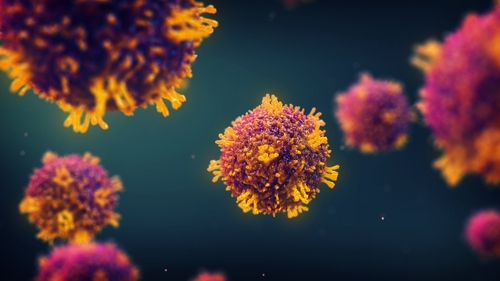 DHS reports measles cases in Rock County